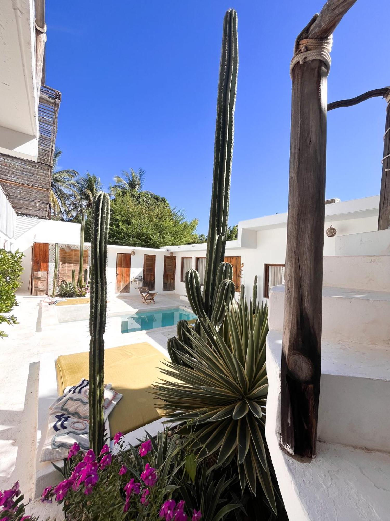 Casa Leone La Punta Hotell Brisas de Zicatela Eksteriør bilde